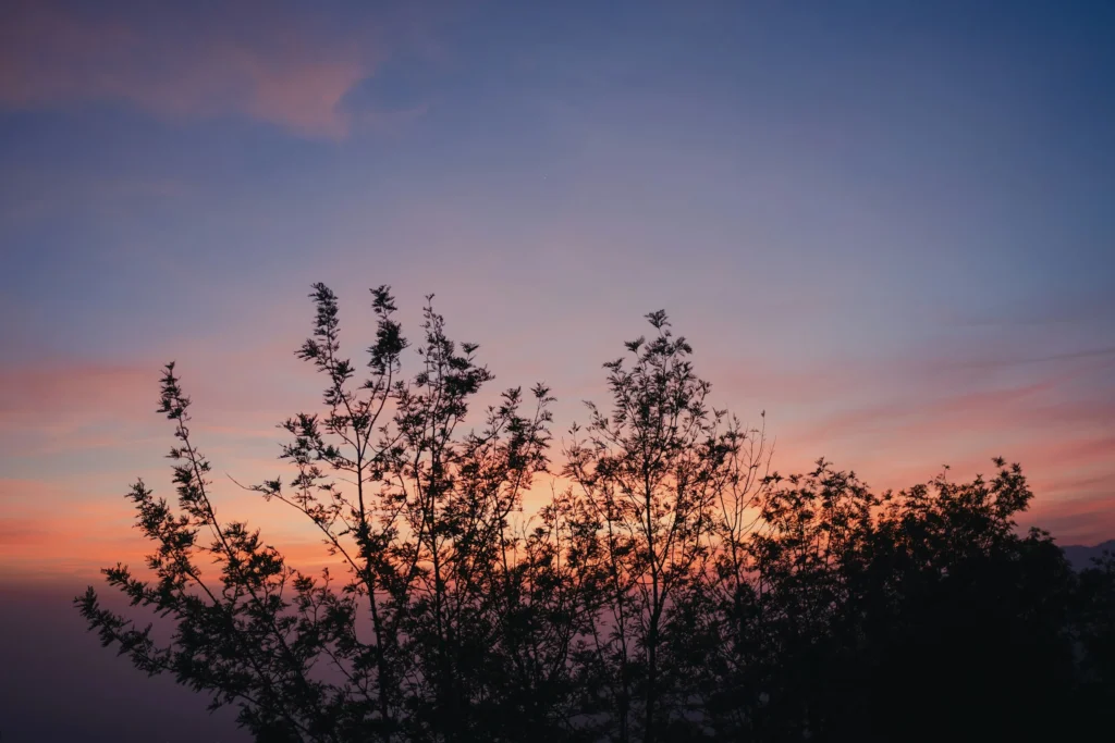 The sky transitions into a soft palette of violet and amber, casting a gentle glow over the silhouetted trees. There is a deep, handmade meaning in moments like these; they remind us that the most beautiful things in life aren't manufactured, but carefully woven by time and nature. Just as a craftsperson pours soul into their work, the ending of a day carries a unique, personal touch that feels both intimate and timeless.