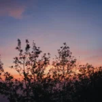 Handmade Meaning, Pain, and the Search for What Makes Us Human