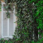 The Quiet Flame Within: Awareness of Self