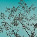 Longings of the Heart: The Dignity of Wanting